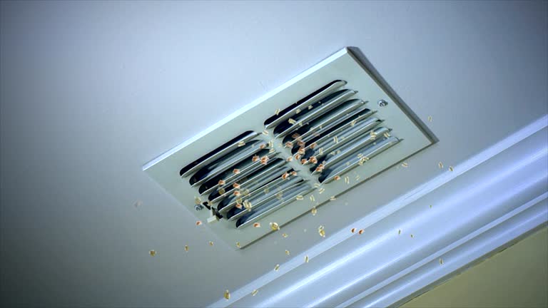 Best Dryer Vent Cleaning Services  in Pasadena, TX