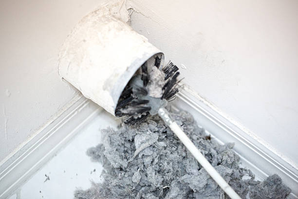 Best Air Duct Sanitizing Services  in Pasadena, TX